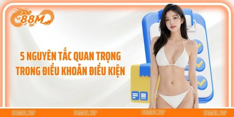 5 nguyên tắc quan trọng trong điều khoản điều kiện