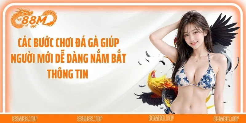 Các bước chơi đá gà giúp người mới dễ dàng nắm bắt thông tin