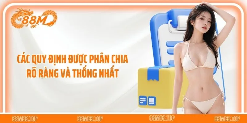 Nội dung chính sách được phân chia rõ ràng và thống nhất