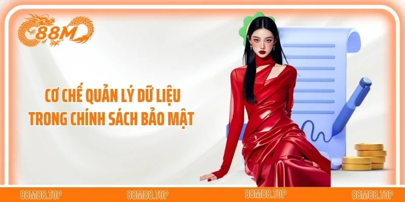 Cơ chế quản lý dữ liệu trong chính sách bảo mật 