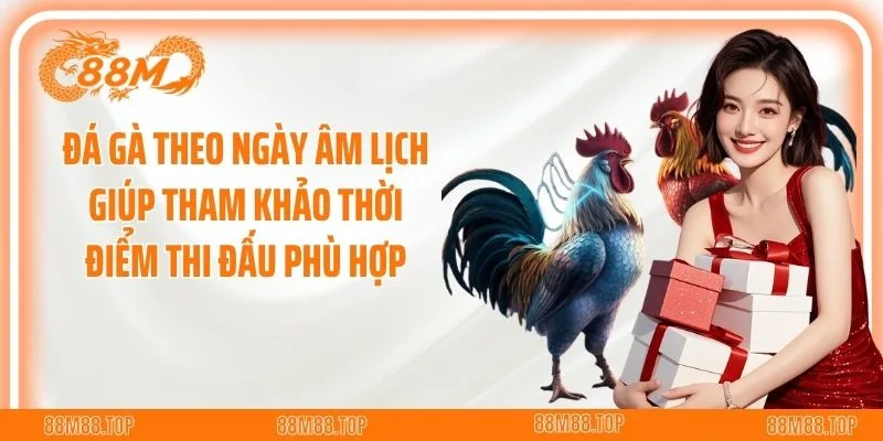 Đá gà theo ngày âm lịch giúp tham khảo thời điểm thi đấu phù hợp